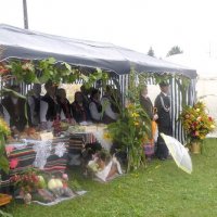 Zobacz w powiększeniu: Dożynki 2009 (1)