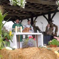 Zobacz w powiększeniu: Dożynki 2009 (3)