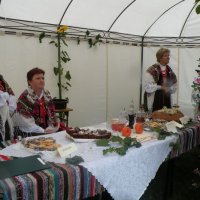 Zobacz w powiększeniu: Dożynki 2009 (15)