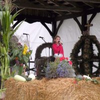 Zobacz w powiększeniu: Dożynki 2009 (62)