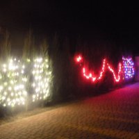 Zobacz w powiększeniu: Konkurs świąteczny 2009 (20)