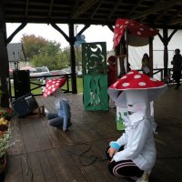 Zobacz w powiększeniu: Święto grzyba 2009 (14)