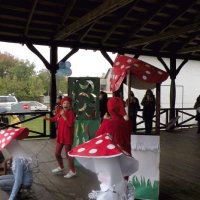 Zobacz w powiększeniu: Święto grzyba 2009 (15)