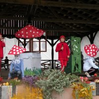 Zobacz w powiększeniu: Święto grzyba 2009 (16)