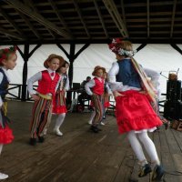 Zobacz w powiększeniu: Święto grzyba 2009 (31)