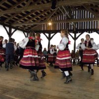 Zobacz w powiększeniu: Święto grzyba 2009 (36)