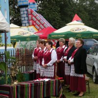 Zobacz w powiększeniu: 60-lecie OSP Zagóźdź (12)