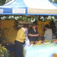 Zobacz w powiększeniu: Dożynki Gminne 2010 w Baranowie, woj. mazowieckie (1)