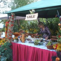 Zobacz w powiększeniu: Dożynki Gminne 2010 w Baranowie, woj. mazowieckie (3)