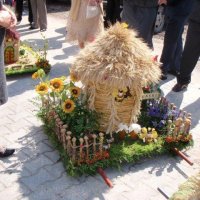 Zobacz w powiększeniu: Dożynki Gminne 2010 w Baranowie, woj. mazowieckie (30)