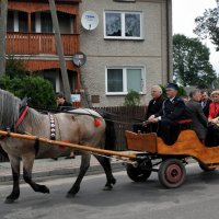 Zobacz w powiększeniu: Dożynki Gminne 2010 (4)