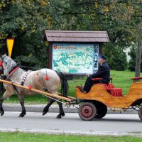 Zobacz w powiększeniu: Dożynki Gminne 2010 (15)
