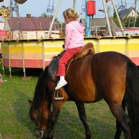 Zobacz w powiększeniu: Dożynki Gminne 2010 (18)