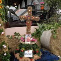 Zobacz w powiększeniu: Dożynki Gminne 2010 (47)