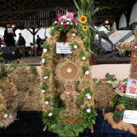 Zobacz w powiększeniu: Dożynki Gminne 2010 (48)