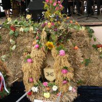 Zobacz w powiększeniu: Dożynki Gminne 2010 (49)