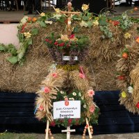 Zobacz w powiększeniu: Dożynki Gminne 2010 (50)