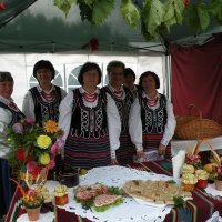 Zobacz w powiększeniu: Dożynki Gminne 2010 (55)