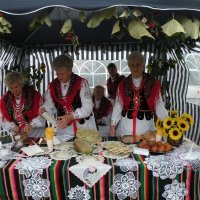 Zobacz w powiększeniu: Dożynki Gminne 2010 (56)