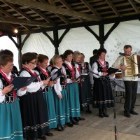 Zobacz w powiększeniu: Dożynki Gminne 2010 (62)