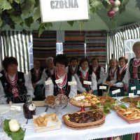Zobacz w powiększeniu: Dożynki Gminne 2010 (67)