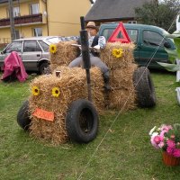 Zobacz w powiększeniu: Dożynki Gminne 2010 (7)