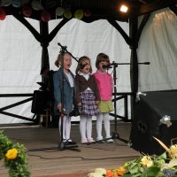 Zobacz w powiększeniu: Dożynki Gminne 2010 (13)