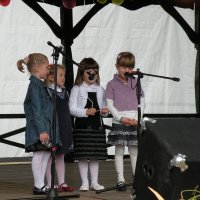 Zobacz w powiększeniu: Dożynki Gminne 2010 (15)