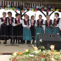Zobacz w powiększeniu: Dożynki Gminne 2010 (25)