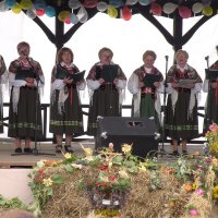 Zobacz w powiększeniu: Dożynki Gminne 2010 (27)