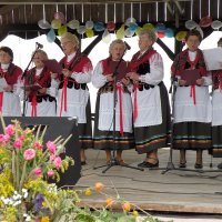 Zobacz w powiększeniu: Dożynki Gminne 2010 (28)
