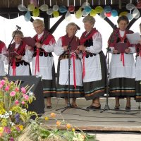 Zobacz w powiększeniu: Dożynki Gminne 2010 (29)
