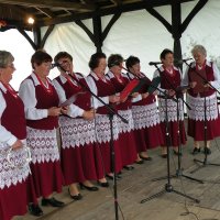 Zobacz w powiększeniu: Dożynki Gminne 2010 (30)