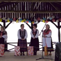 Zobacz w powiększeniu: Dożynki Gminne 2010 (40)