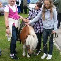 Zobacz w powiększeniu: Dożynki Gminne 2010 (43)
