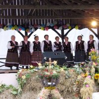 Zobacz w powiększeniu: Dożynki Gminne 2010 (45)