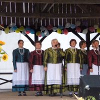 Zobacz w powiększeniu: Dożynki Gminne 2010 (47)