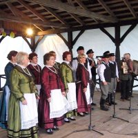 Zobacz w powiększeniu: Dożynki Gminne 2010 (50)