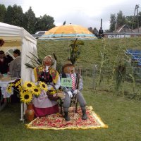 Zobacz w powiększeniu: Dozynki Powiatowe 2010 (1)