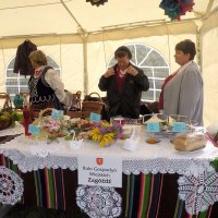 Zobacz w powiększeniu: Dozynki Powiatowe 2010 (2)