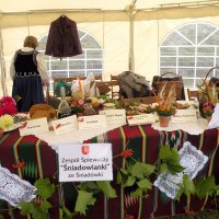 Zobacz w powiększeniu: Dozynki Powiatowe 2010 (3)