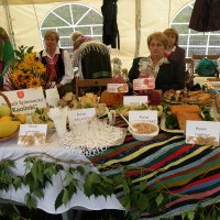 Zobacz w powiększeniu: Dozynki Powiatowe 2010 (4)