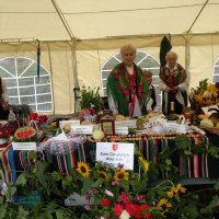 Zobacz w powiększeniu: Dozynki Powiatowe 2010 (5)