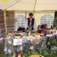 Zobacz w powiększeniu: Dozynki Powiatowe 2010 (6)