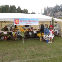 Zobacz w powiększeniu: Dozynki Powiatowe 2010 (7)