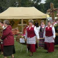 Zobacz w powiększeniu: Dozynki Powiatowe 2010 (10)