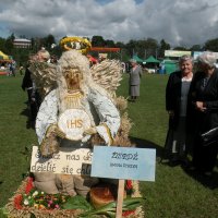 Zobacz w powiększeniu: Dozynki Powiatowe 2010 (16)