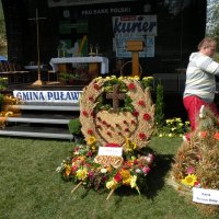 Zobacz w powiększeniu: Dozynki Powiatowe 2010 (19)