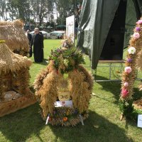 Zobacz w powiększeniu: Dozynki Powiatowe 2010 (21)