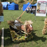 Zobacz w powiększeniu: Dozynki Powiatowe 2010 (23)